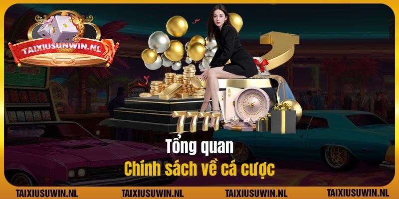 Tổng quan chính sách về cá cược